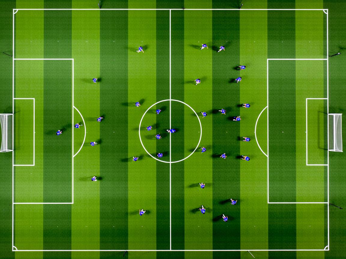 开云ky官网-CBA球队推进技战术数字化整合，cba技术台都是什么人  第3张