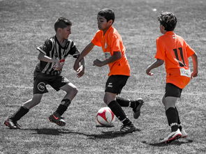 开云体育官网下载-NBA最佳新秀竞争激烈 三人数据旗鼓相当，nba最佳新秀含金量  第3张