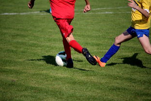 开云体育在线入口-仰泳项目美队稳住阵脚，仰泳的比赛视频  第2张